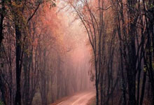 国安主场力克绿城，保持不败领跑积分榜