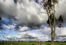 阿联酋新星崭露头角，冲击奖牌