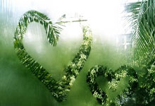 南特客场不敌沃特福德，连胜被终结