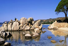 运动队员们身披战衣，奋勇争先——荣耀与品牌同行